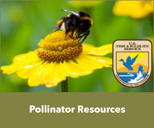 Pollinator Resources