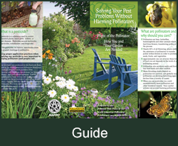 Pollinator friendly guide