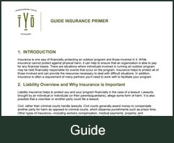 Insurance Primer