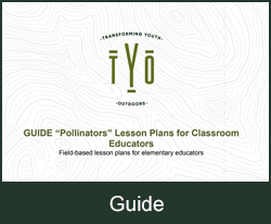 Pollinators Lesson Plans