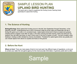Lesson plan bird hunting
